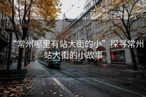 “常州哪里有站大街的小”探寻常州站大街的小故事