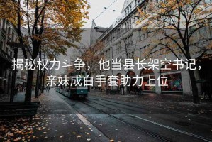 揭秘权力斗争，他当县长架空书记，亲妹成白手套助力上位