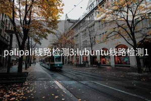 palipali线路检测3:lubuntu线路检测1