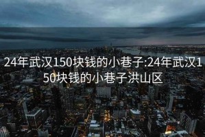 24年武汉150块钱的小巷子:24年武汉150块钱的小巷子洪山区