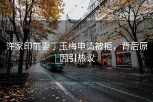 许家印前妻丁玉梅申请被拒，背后原因引热议