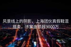 风景线上的阴影，上海团伙真假鞋混搭卖，涉案金额超3000万