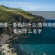 杏林炮楼一条街叫什么:杏林炮楼一条街叫什么名字