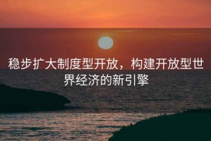 稳步扩大制度型开放，构建开放型世界经济的新引擎