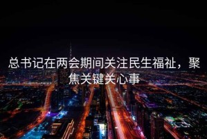 总书记在两会期间关注民生福祉，聚焦关键关心事