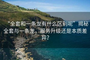 “全套和一条龙有什么区别呢”揭秘全套与一条龙，服务升级还是本质差异？