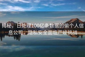 揭秘，日处理100亿条数据的偷个人信息公司，隐私安全面临严峻挑战