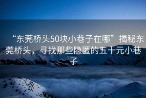 “东莞桥头50块小巷子在哪”揭秘东莞桥头，寻找那些隐匿的五十元小巷子