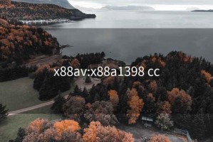 x88av:x88a1398 cc