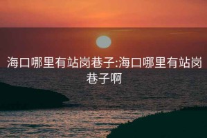 海口哪里有站岗巷子:海口哪里有站岗巷子啊