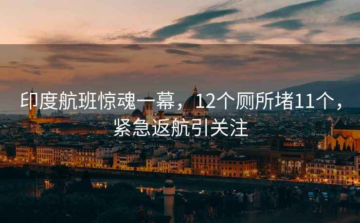 印度航班惊魂一幕，12个厕所堵11个，紧急返航引关注