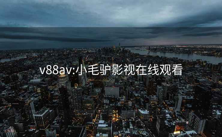 v88av:小毛驴影视在线观看