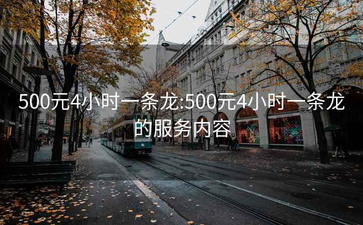 500元4小时一条龙:500元4小时一条龙的服务内容