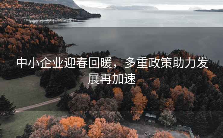 中小企业迎春回暖，多重政策助力发展再加速