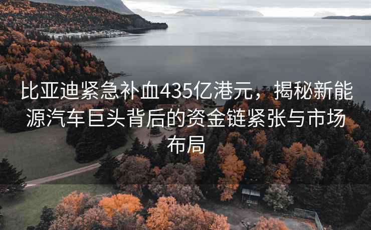 比亚迪紧急补血435亿港元，揭秘新能源汽车巨头背后的资金链紧张与市场布局