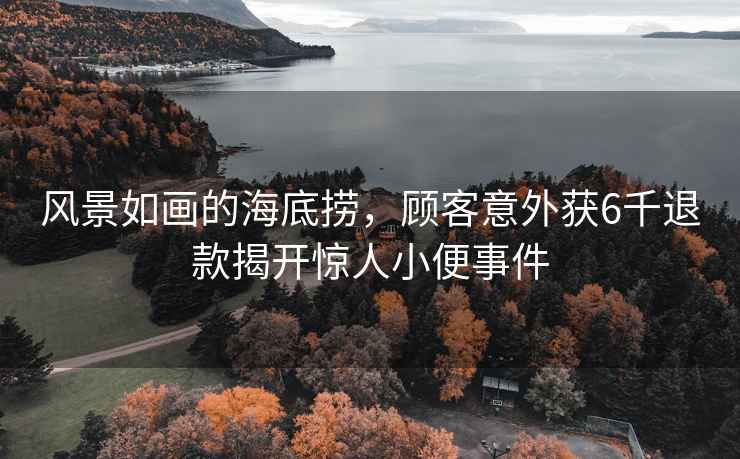 风景如画的海底捞，顾客意外获6千退款揭开惊人小便事件