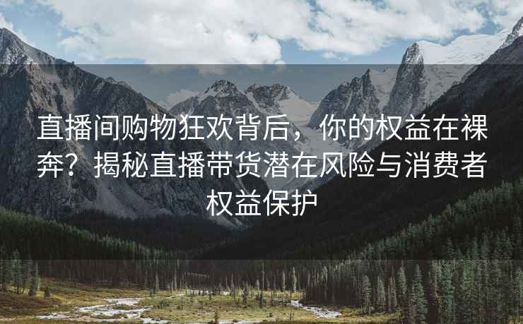 直播间购物狂欢背后，你的权益在裸奔？揭秘直播带货潜在风险与消费者权益保护