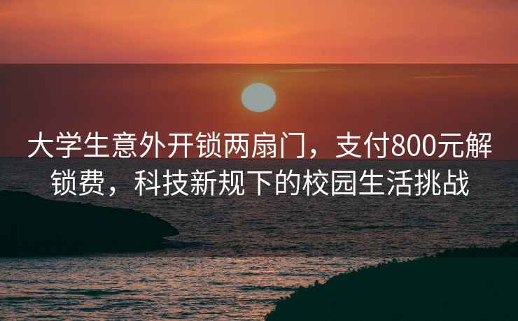 大学生意外开锁两扇门，支付800元解锁费，科技新规下的校园生活挑战