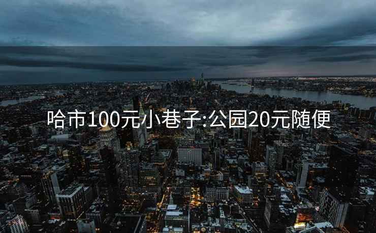 哈市100元小巷子:公园20元随便