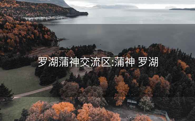 罗湖蒲神交流区:蒲神 罗湖