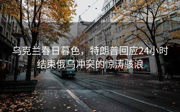 乌克兰春日暮色，特朗普回应24小时结束俄乌冲突的惊涛骇浪