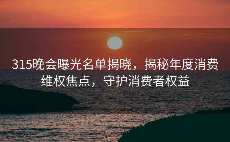 315晚会曝光名单揭晓，揭秘年度消费维权焦点，守护消费者权益