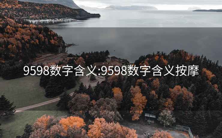 9598数字含义:9598数字含义按摩