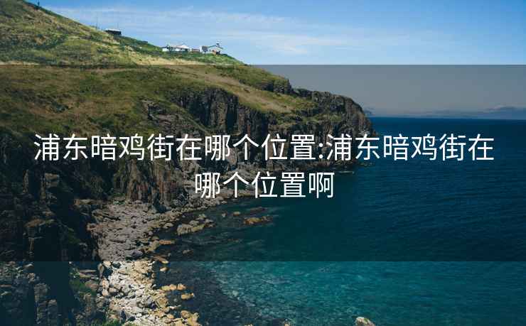 浦东暗鸡街在哪个位置:浦东暗鸡街在哪个位置啊