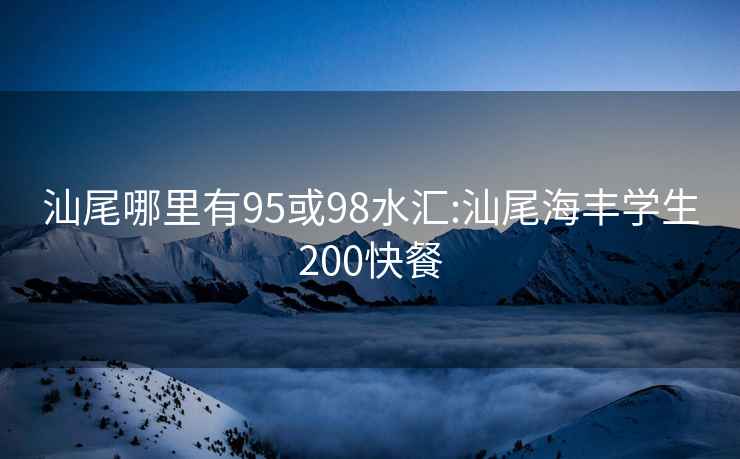 汕尾哪里有95或98水汇:汕尾海丰学生200快餐