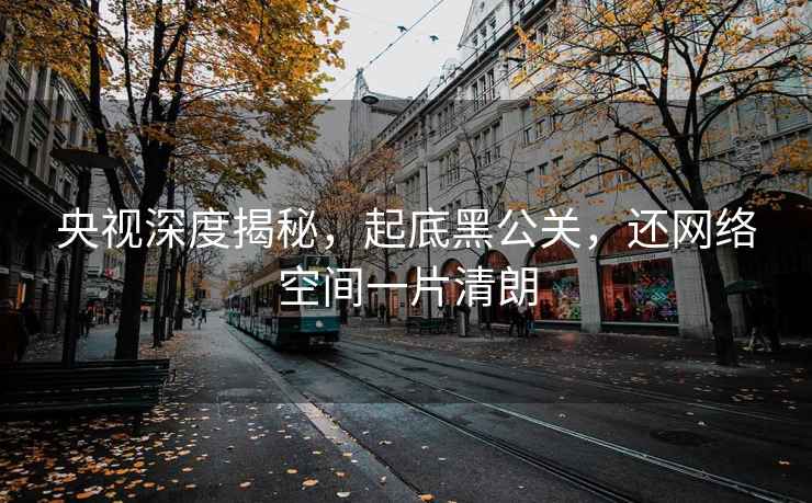 央视深度揭秘，起底黑公关，还网络空间一片清朗