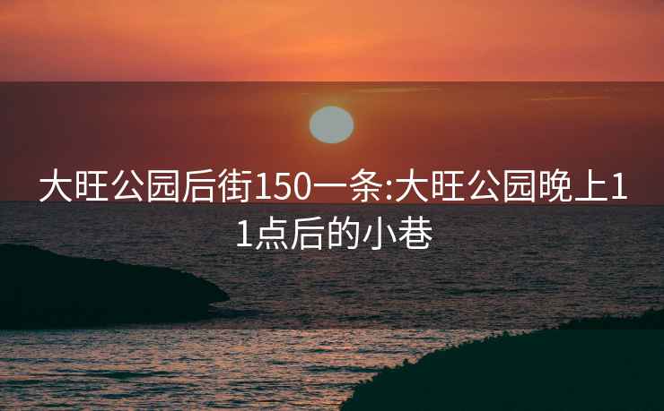 大旺公园后街150一条:大旺公园晚上11点后的小巷