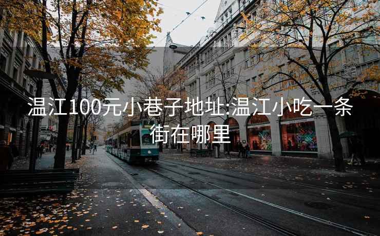 温江100元小巷子地址:温江小吃一条街在哪里