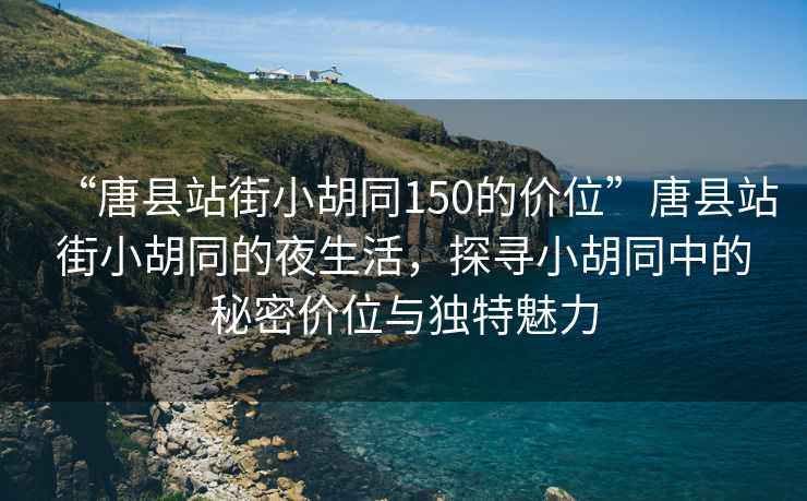 “唐县站街小胡同150的价位”唐县站街小胡同的夜生活，探寻小胡同中的秘密价位与独特魅力