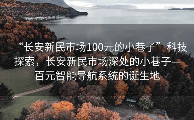 “长安新民市场100元的小巷子”科技探索，长安新民市场深处的小巷子—百元智能导航系统的诞生地