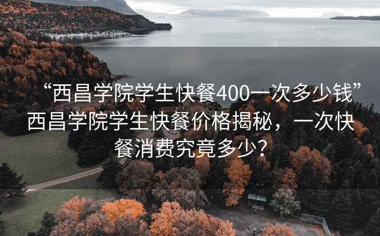 “西昌学院学生快餐400一次多少钱”西昌学院学生快餐价格揭秘，一次快餐消费究竟多少？