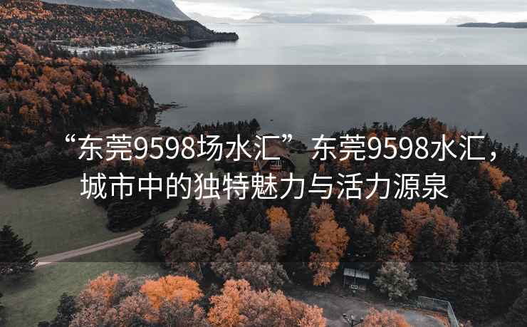 “东莞9598场水汇”东莞9598水汇，城市中的独特魅力与活力源泉