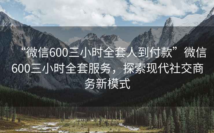 “微信600三小时全套人到付款”微信600三小时全套服务，探索现代社交商务新模式