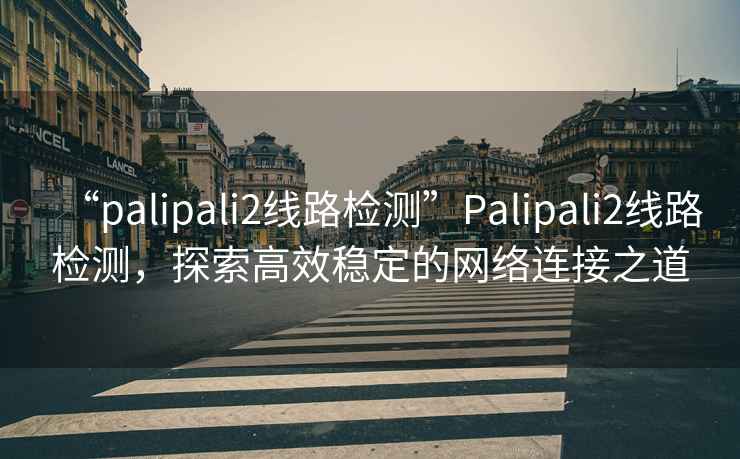 “palipali2线路检测”Palipali2线路检测，探索高效稳定的网络连接之道