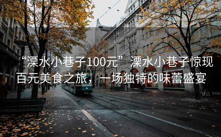 “溧水小巷子100元”溧水小巷子惊现百元美食之旅，一场独特的味蕾盛宴