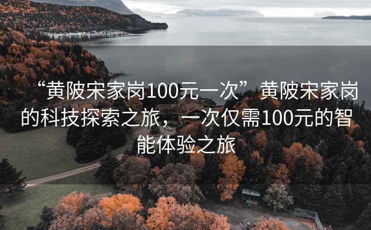 “黄陂宋家岗100元一次”黄陂宋家岗的科技探索之旅，一次仅需100元的智能体验之旅