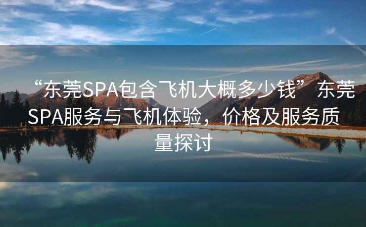 “东莞SPA包含飞机大概多少钱”东莞SPA服务与飞机体验，价格及服务质量探讨