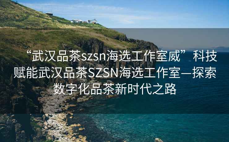 “武汉品茶szsn海选工作室威”科技赋能武汉品茶SZSN海选工作室—探索数字化品茶新时代之路