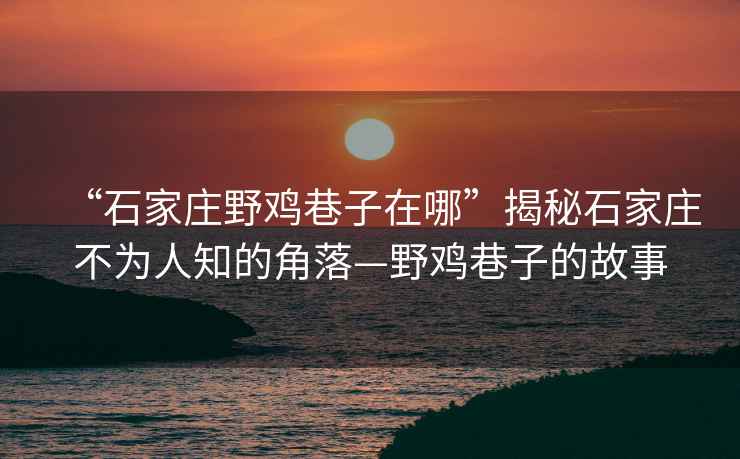 “石家庄野鸡巷子在哪”揭秘石家庄不为人知的角落—野鸡巷子的故事