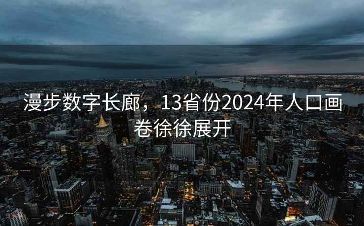 漫步数字长廊，13省份2024年人口画卷徐徐展开