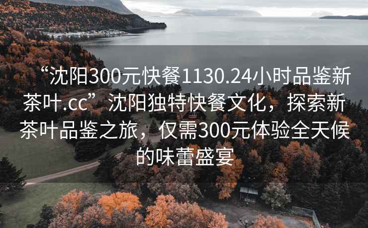 “沈阳300元快餐1130.24小时品鉴新茶叶.cc”沈阳独特快餐文化，探索新茶叶品鉴之旅，仅需300元体验全天候的味蕾盛宴