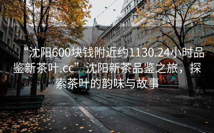 “沈阳600块钱附近约1130.24小时品鉴新茶叶.cc”沈阳新茶品鉴之旅，探索茶叶的韵味与故事