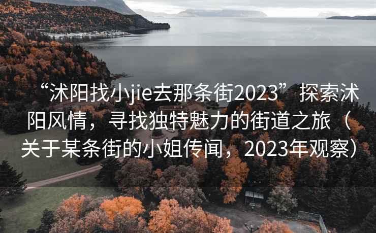 “沭阳找小jie去那条街2023”探索沭阳风情，寻找独特魅力的街道之旅（关于某条街的小姐传闻，2023年观察）