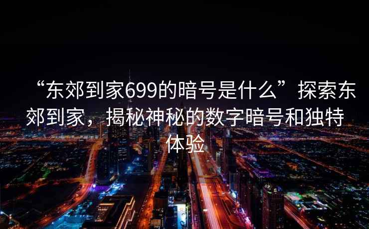 “东郊到家699的暗号是什么”探索东郊到家，揭秘神秘的数字暗号和独特体验